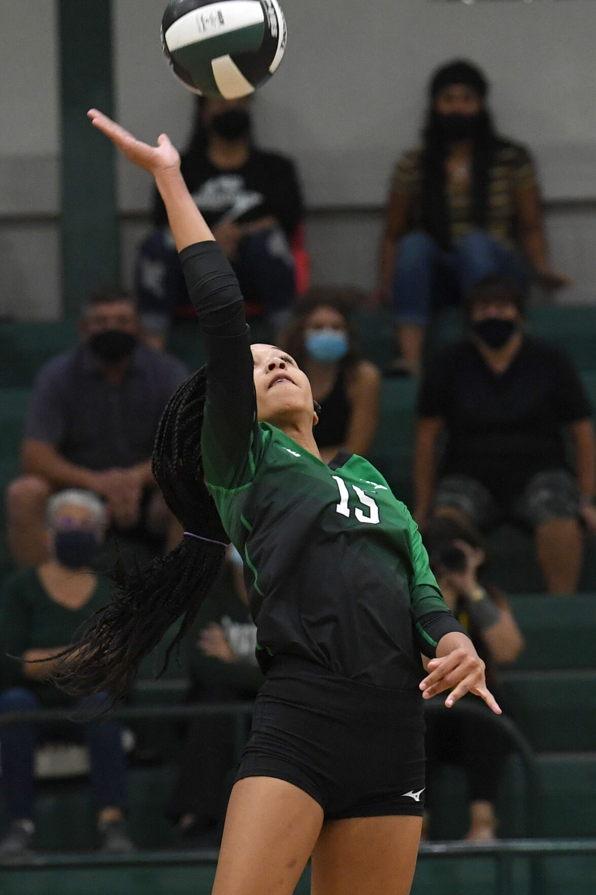 Rudder vs. Magnolia West